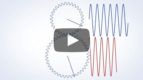 Phase Index Animation Video